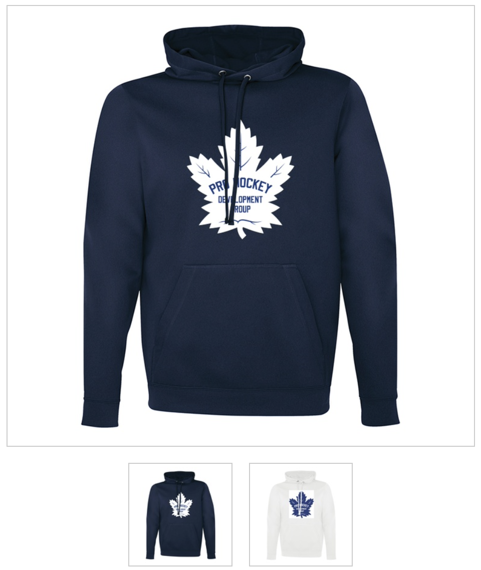 Pro Hockey Development Group site by RAMP InterActive